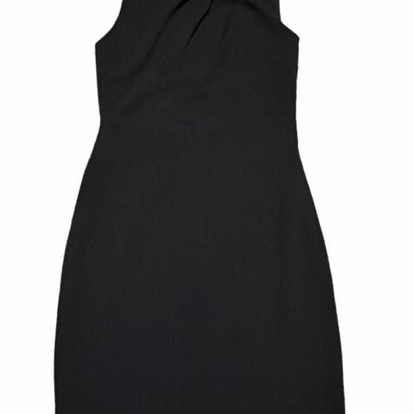 Express Sleeveless Dress Size S Black Pleated Neckline