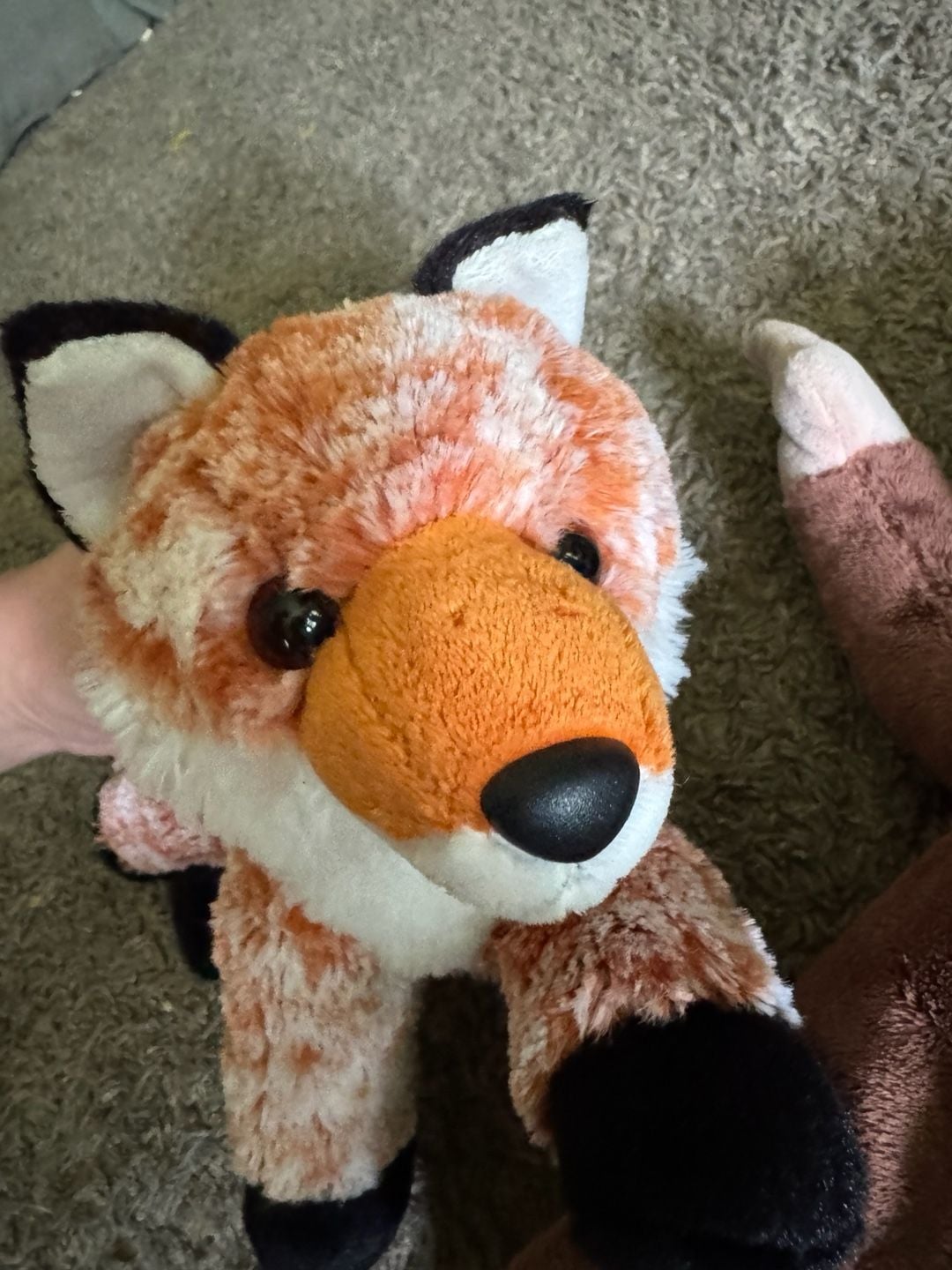 Lot of 2 Stuffed Plush Toys Fox and Curious George Monkey 3