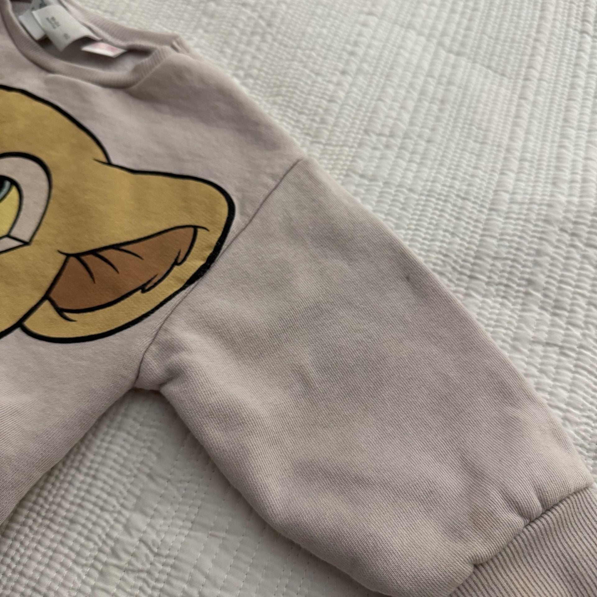 Disney Classics The Lion King Simba Sweatshirt Size 18-24M 5