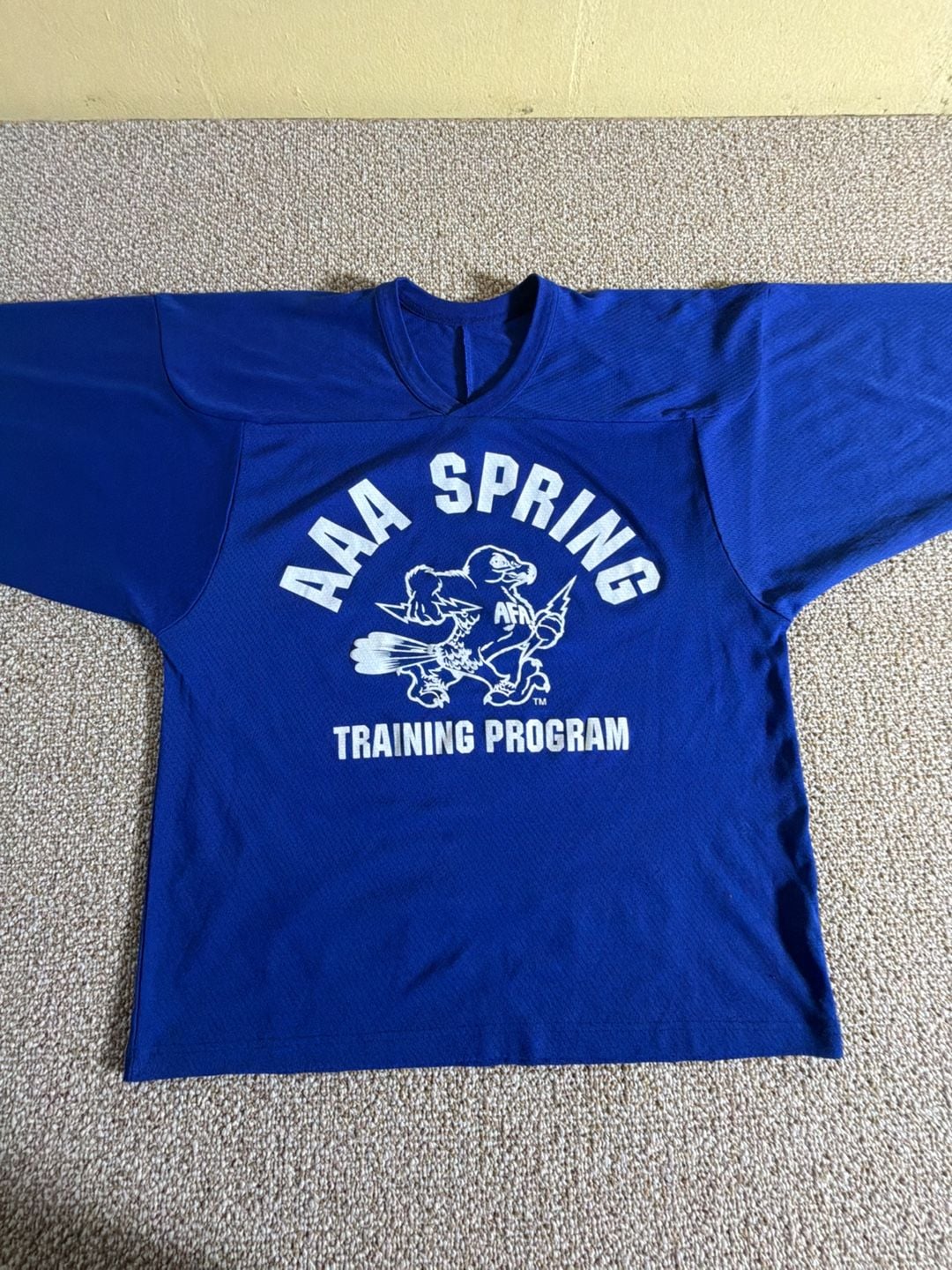 CCM AAA Spring Training Program Hockey Jersey Blue 5