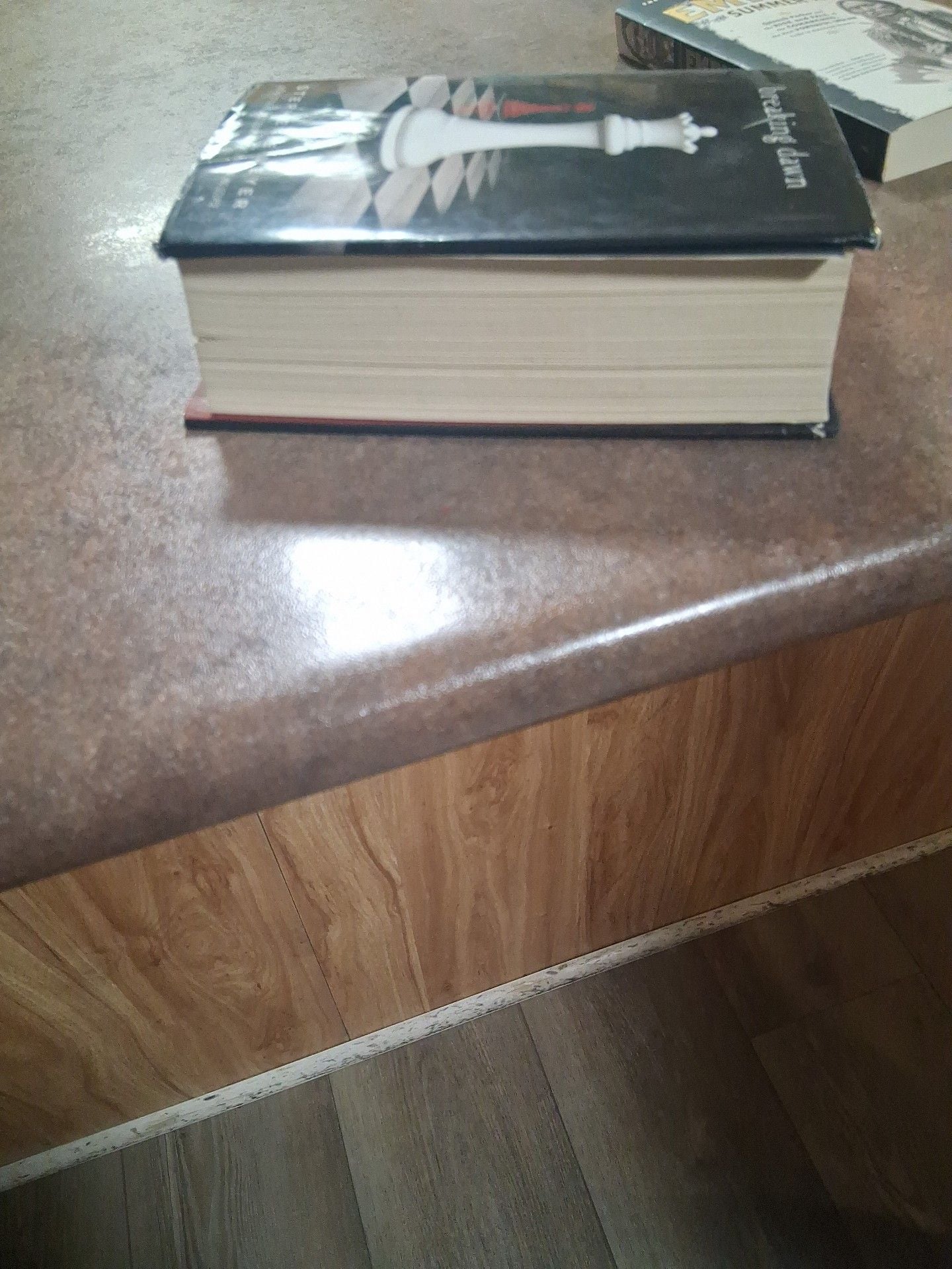 Breaking Dawn by Stephenie Meyer Hardcover Novel Twilight Saga Book 4 2