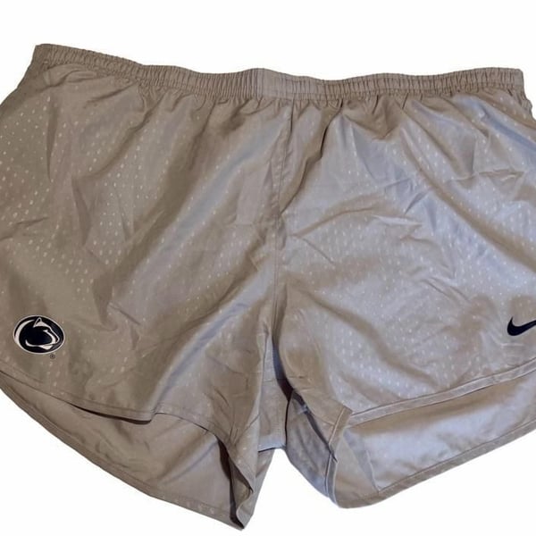 Nike Dri-FIT Penn State Nittany Lions Women’s Running Shorts Athleisure Gray Size XXL