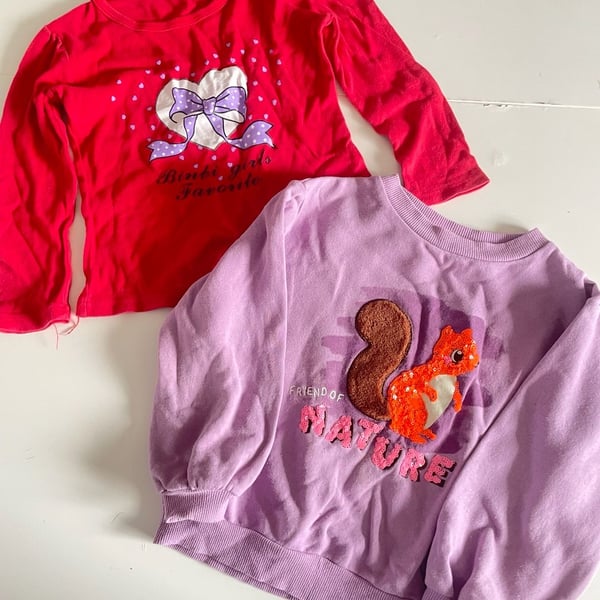 2 pack bulk H&M Friend of Nature Squirrel Sweatshirt Size 5T/6 Purple