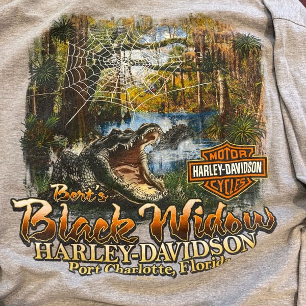 Harley-Davidson Bert's Black Widow Long Sleeve T-Shirt Size XL Grey