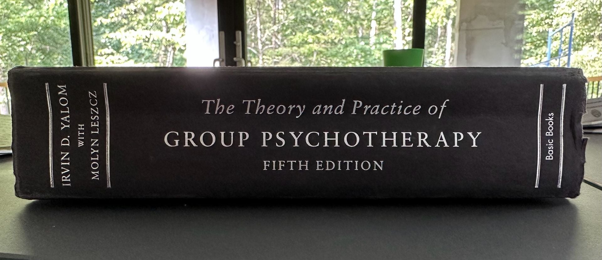 Basic Books The Theory and Practice of Group Psychotherapy Fifth Edition 1