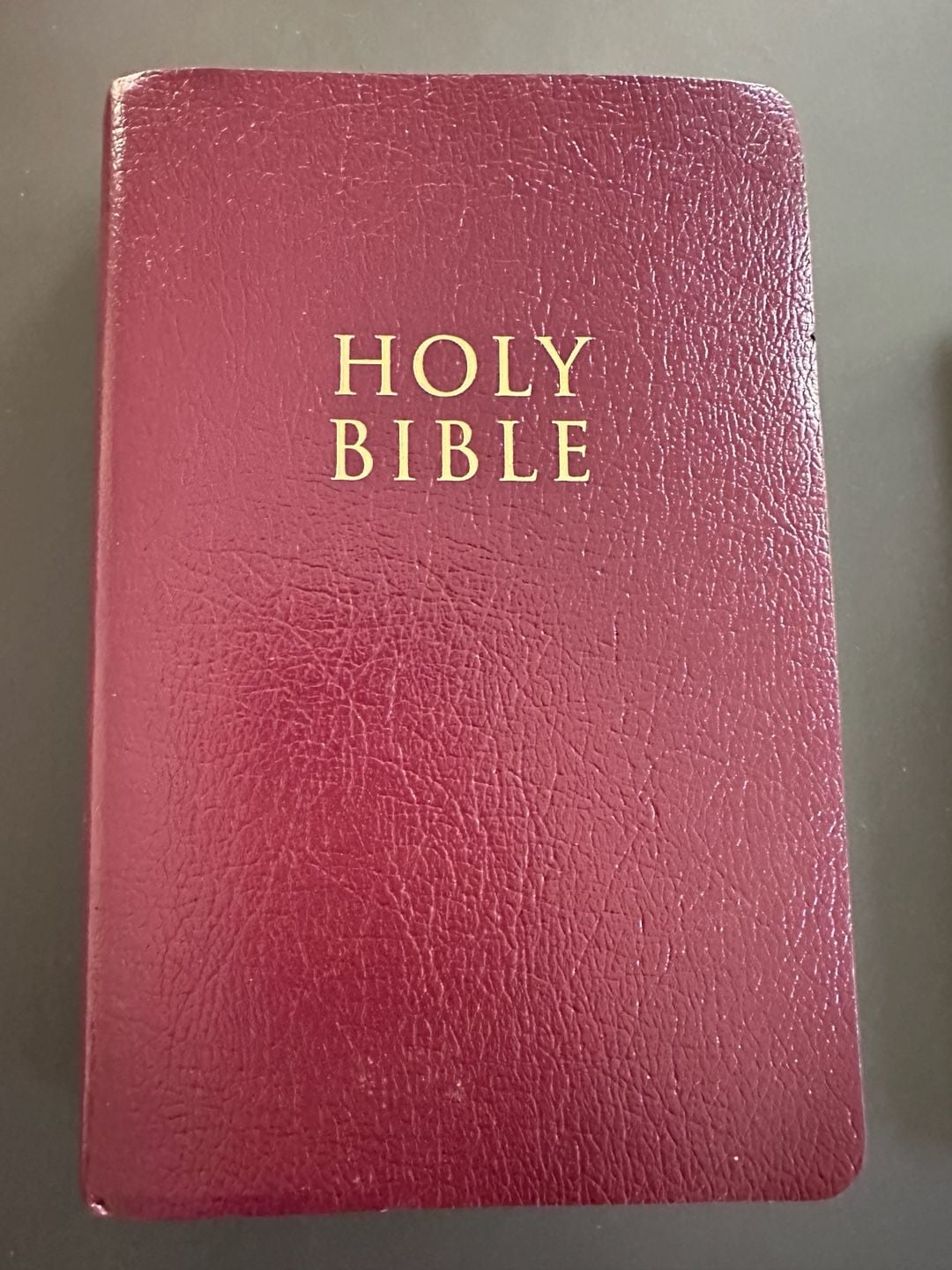 Zondervan Holy Bible NIV Red Letter Edition Burgundy Faux Leather 1