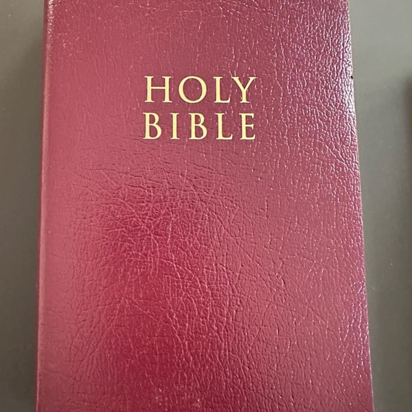 Zondervan Holy Bible NIV Red Letter Edition Burgundy Faux Leather