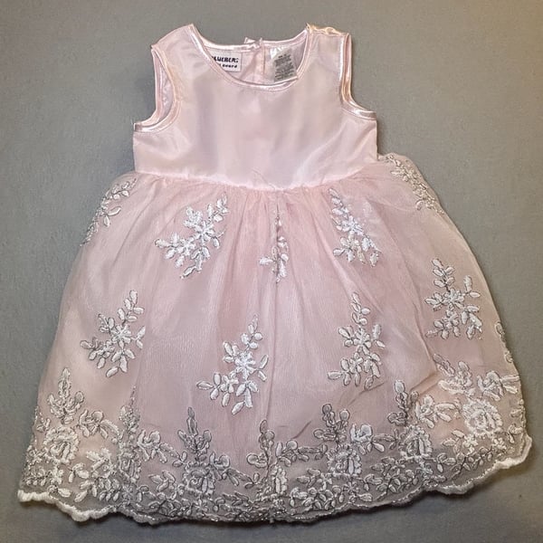 Blueberi Boulevard Dress Size 2T Pink Floral Embroidered Organza Party