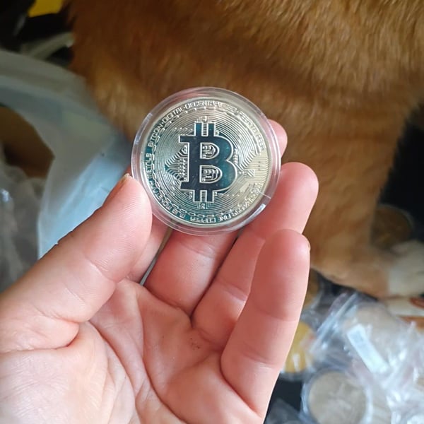 Physical Bitcoin Commemorative Cryptocurrency Coins Set of 16