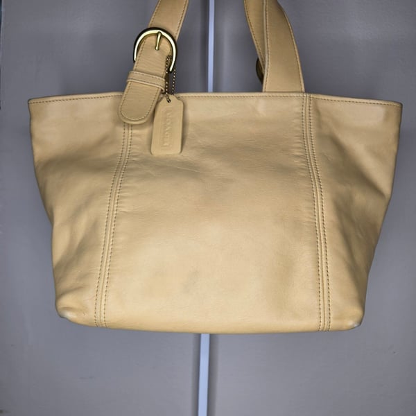 Coach Waverly Tote Bag 4133