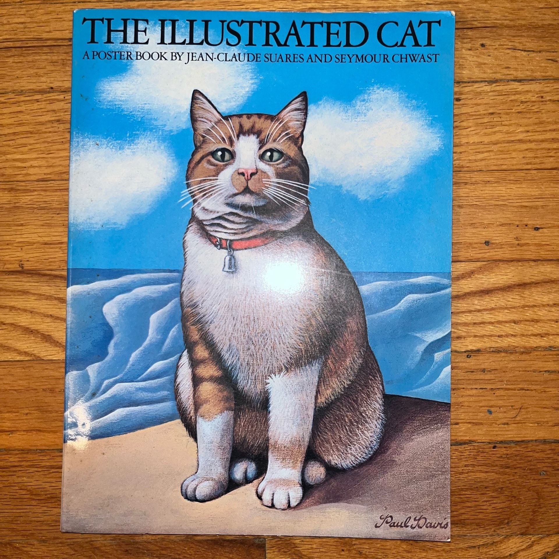 The Illustrated Cat 3