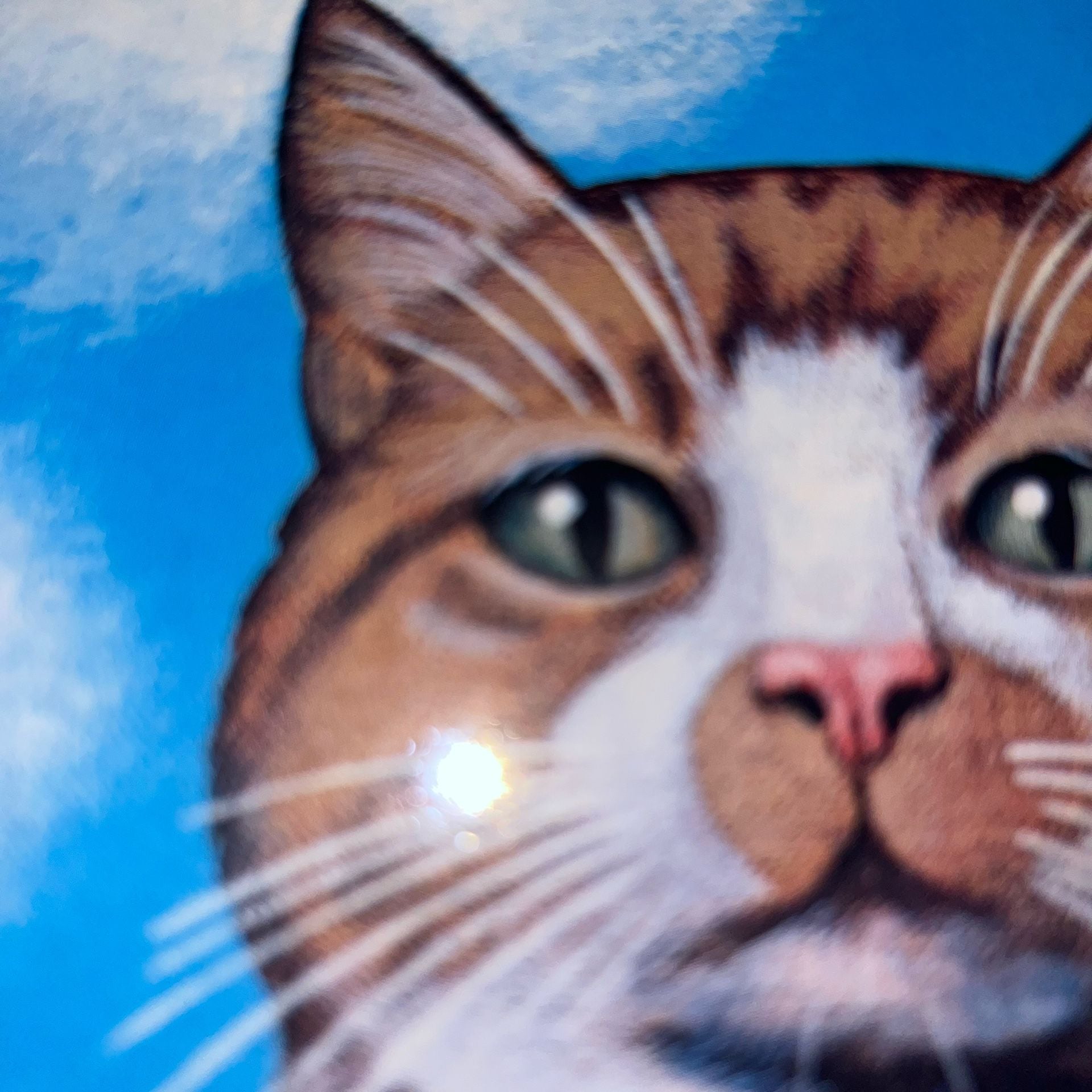 The Illustrated Cat 4