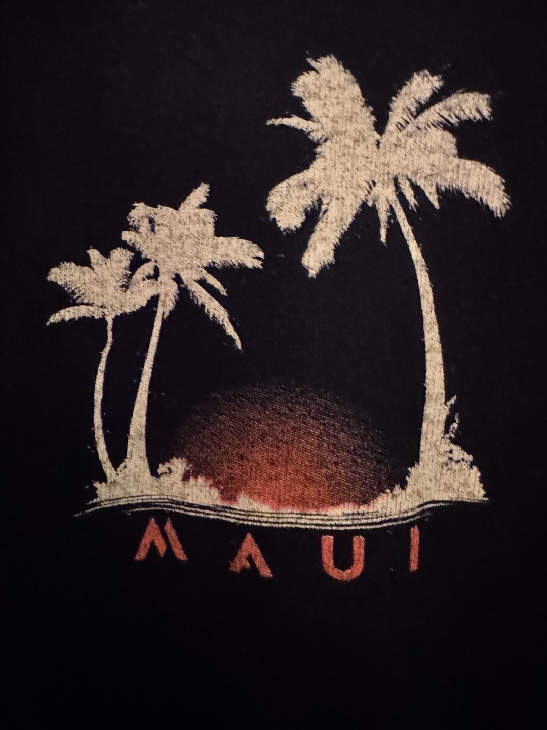 Gildan Maui Hawaii Sunset Palm Tree Graphic T-Shirt XL Black 4