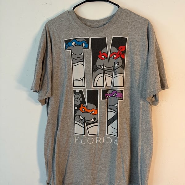 Teenage Mutant Ninja Turtles TMNT Florida Graphic T-Shirt Gray