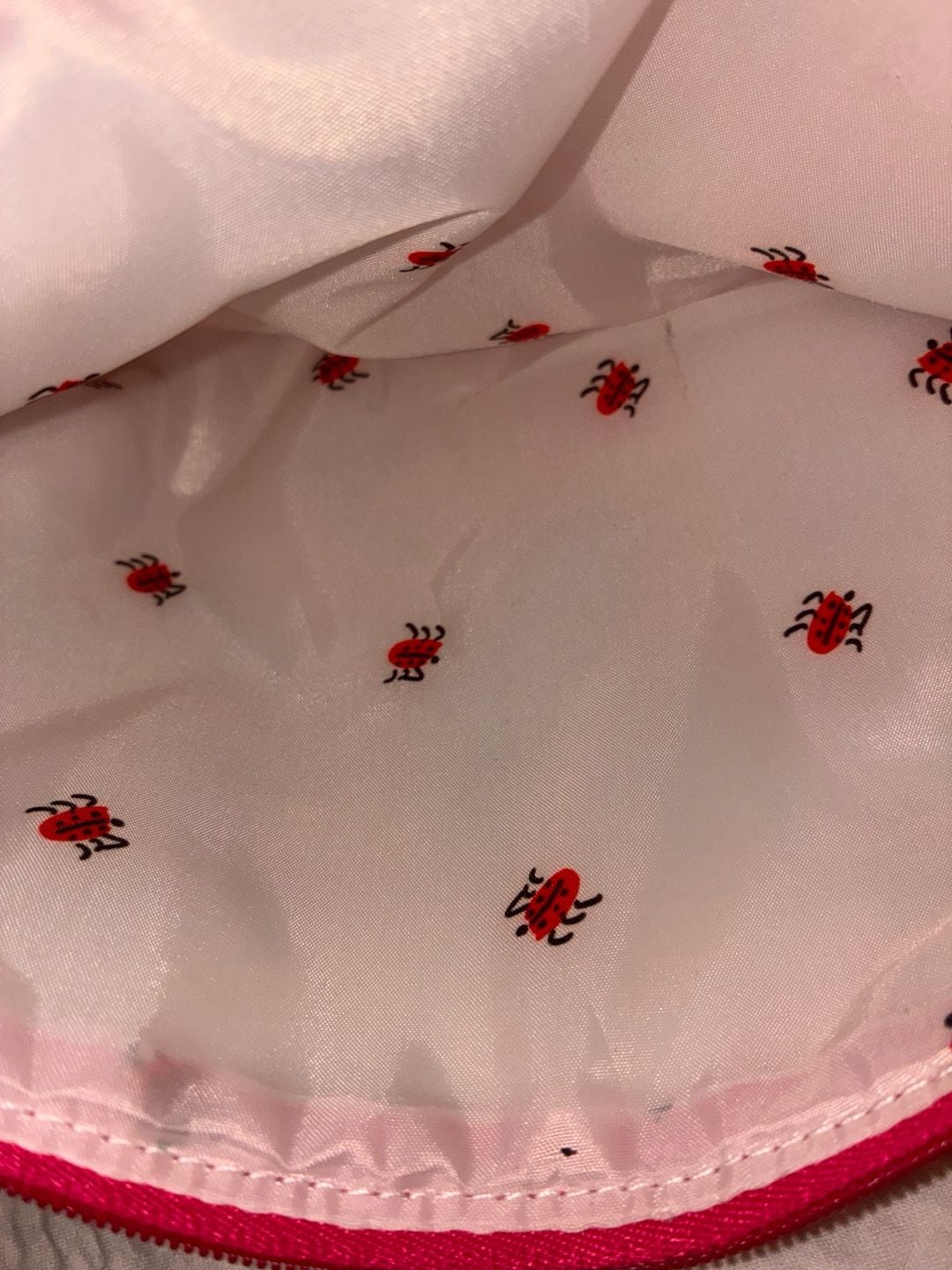 Clinique Poppy Floral Cosmetic Bag Red White Ladybug Lining 6