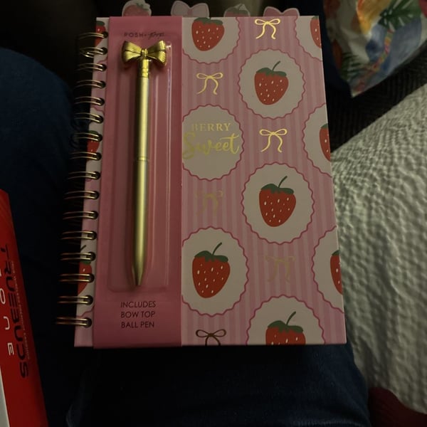 Posh Pop Berry Sweet Spiral Notebook with Bow Top Ball Pen New