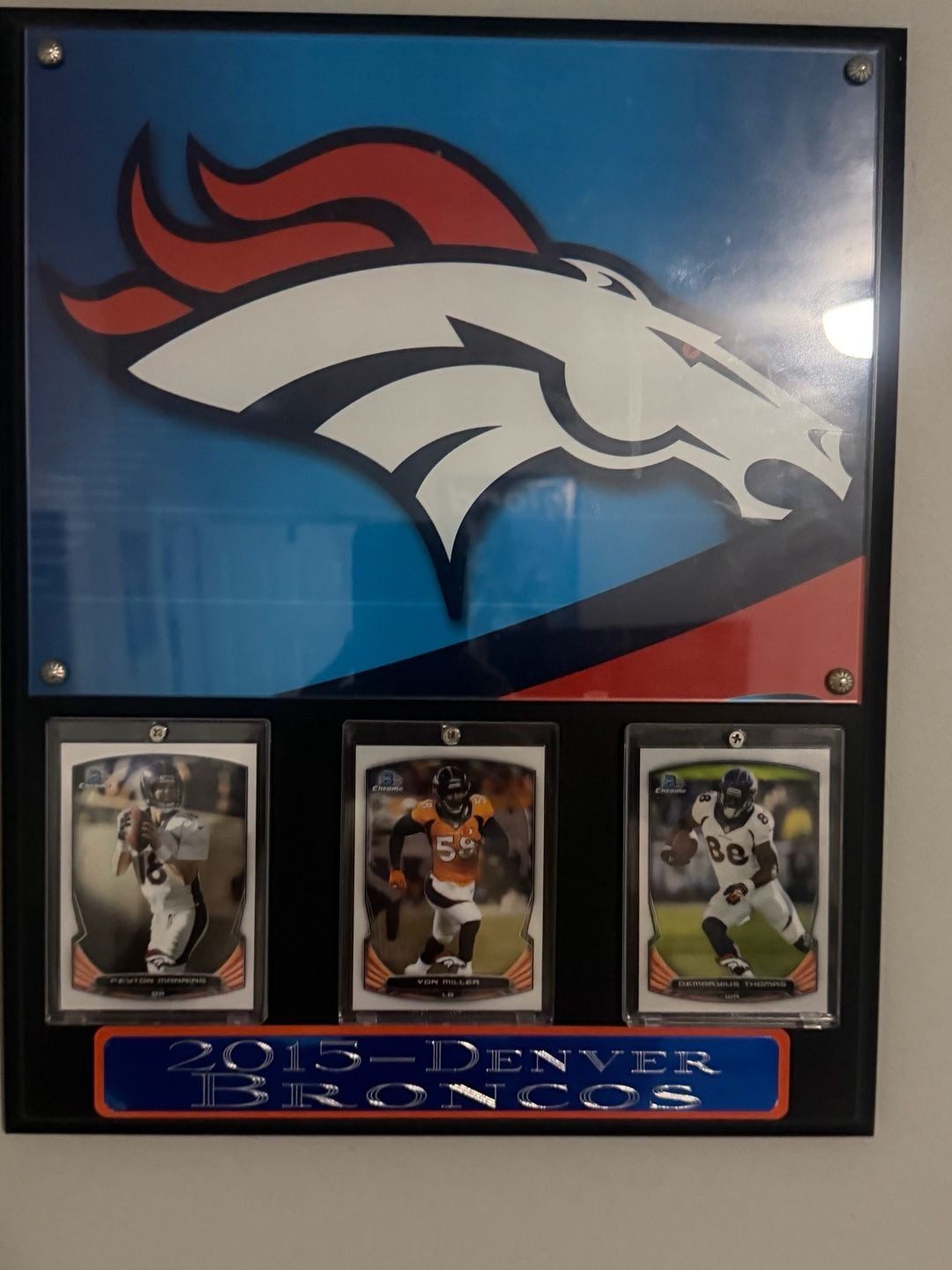 Denver Broncos 2015 Team Logo & Player Cards Framed Sports Memorabilia 3
