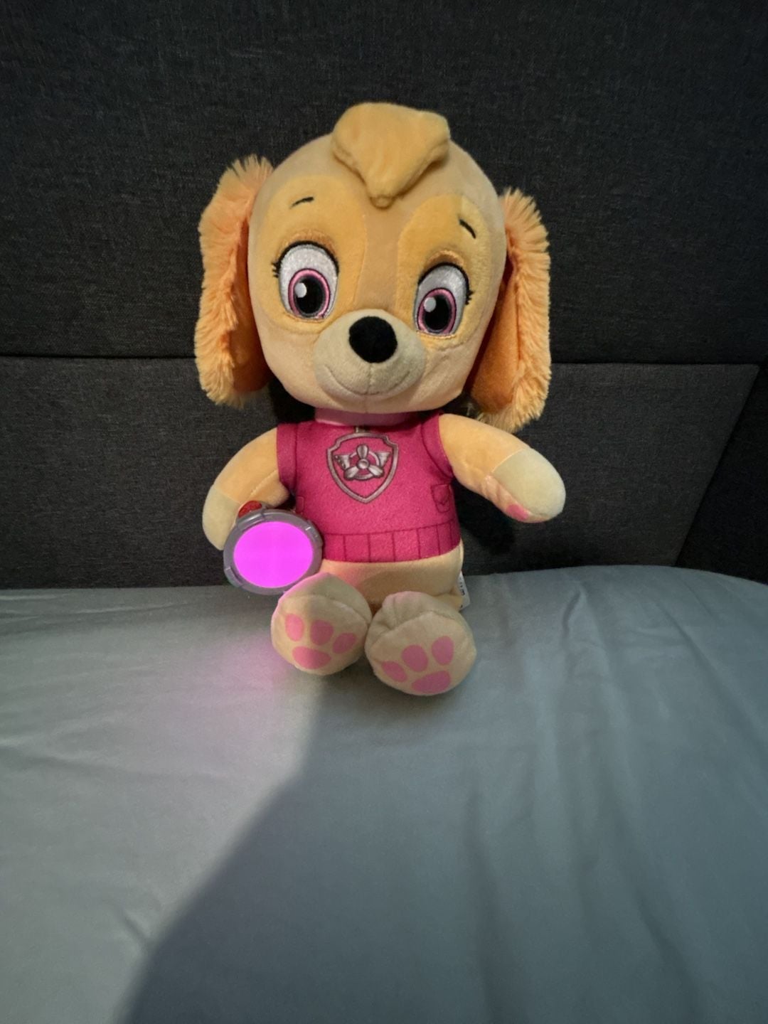 Paw Patrol Skye Snuggle Up Pup Plush Night Light Flashlight 2