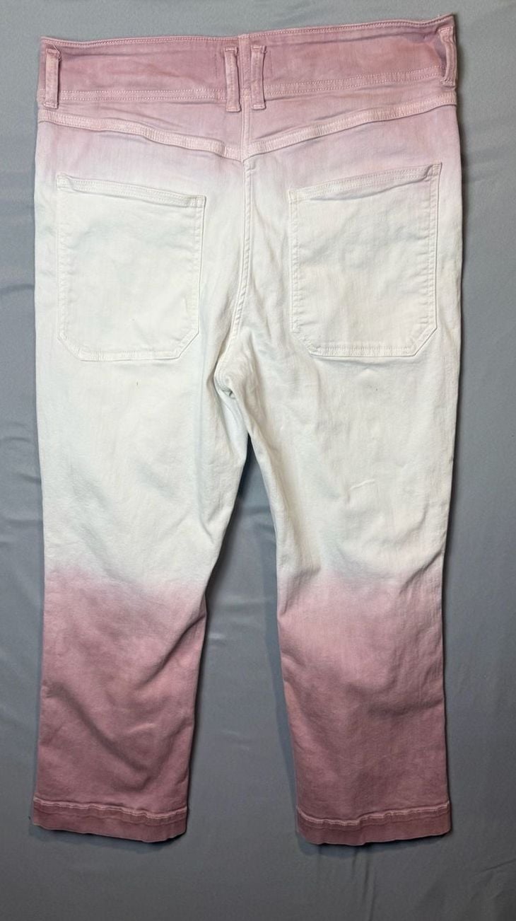 Anthropologie 3