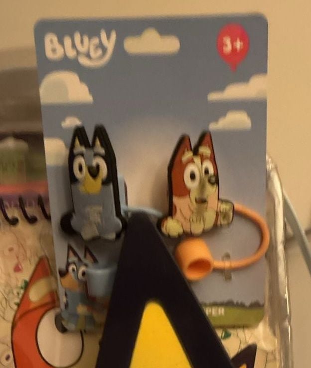 Bluey Creative Art Caddy and Activity Set 2