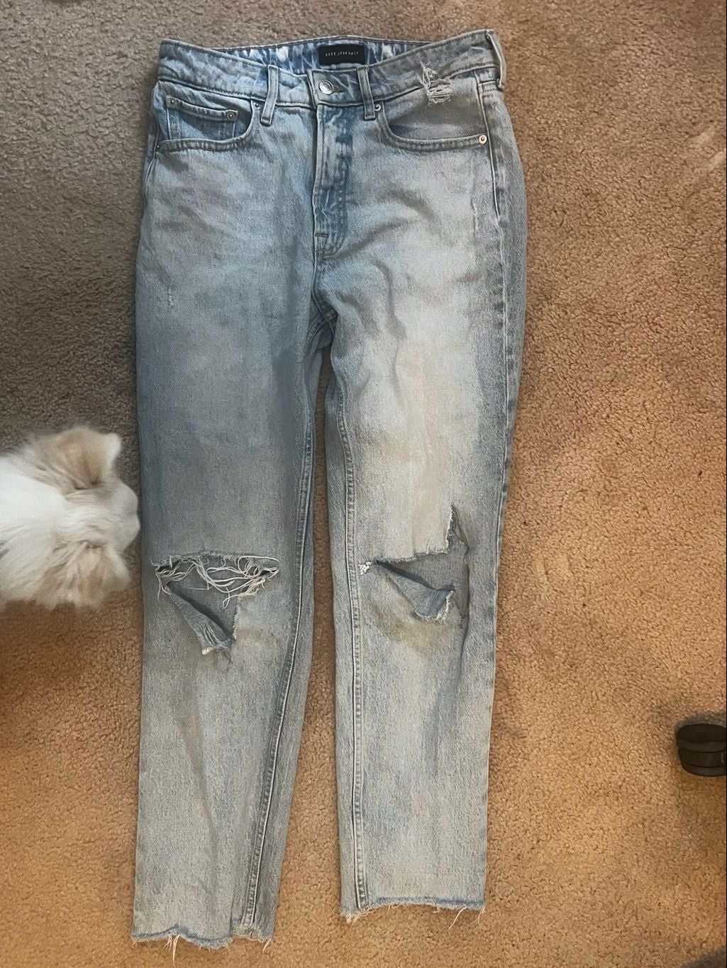 Free Assembly Distressed Straight Leg Jeans Size 8 3