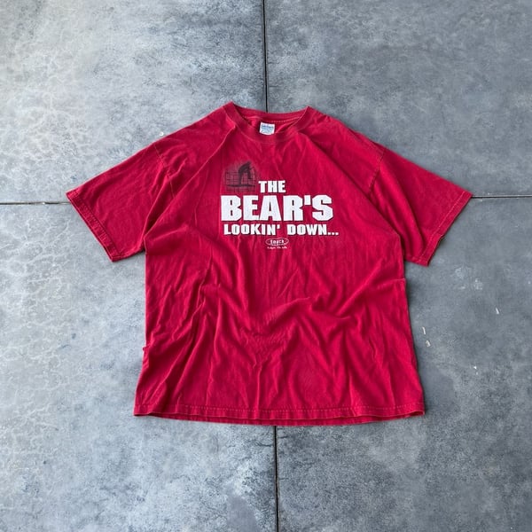 Gildan The Bears Lookin Down T-Shirt Size XL Red Graphic Tee