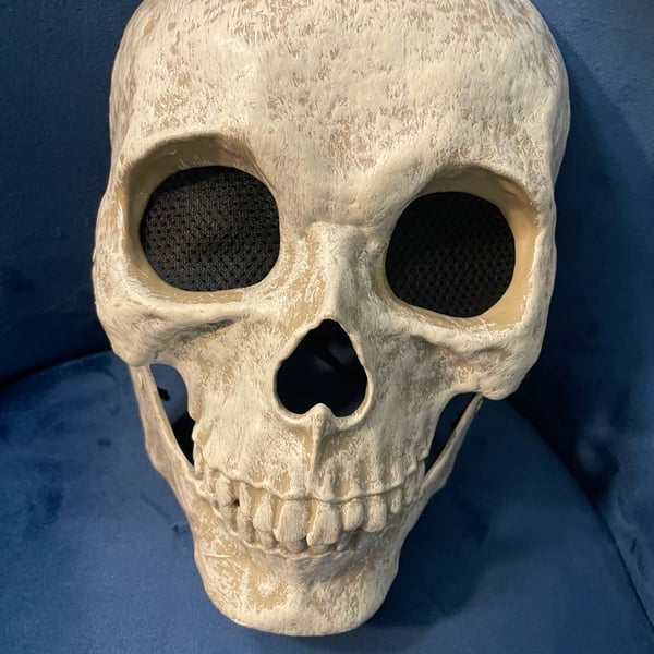 Tactical Skull Airsoft Mask Mesh Eye Protection