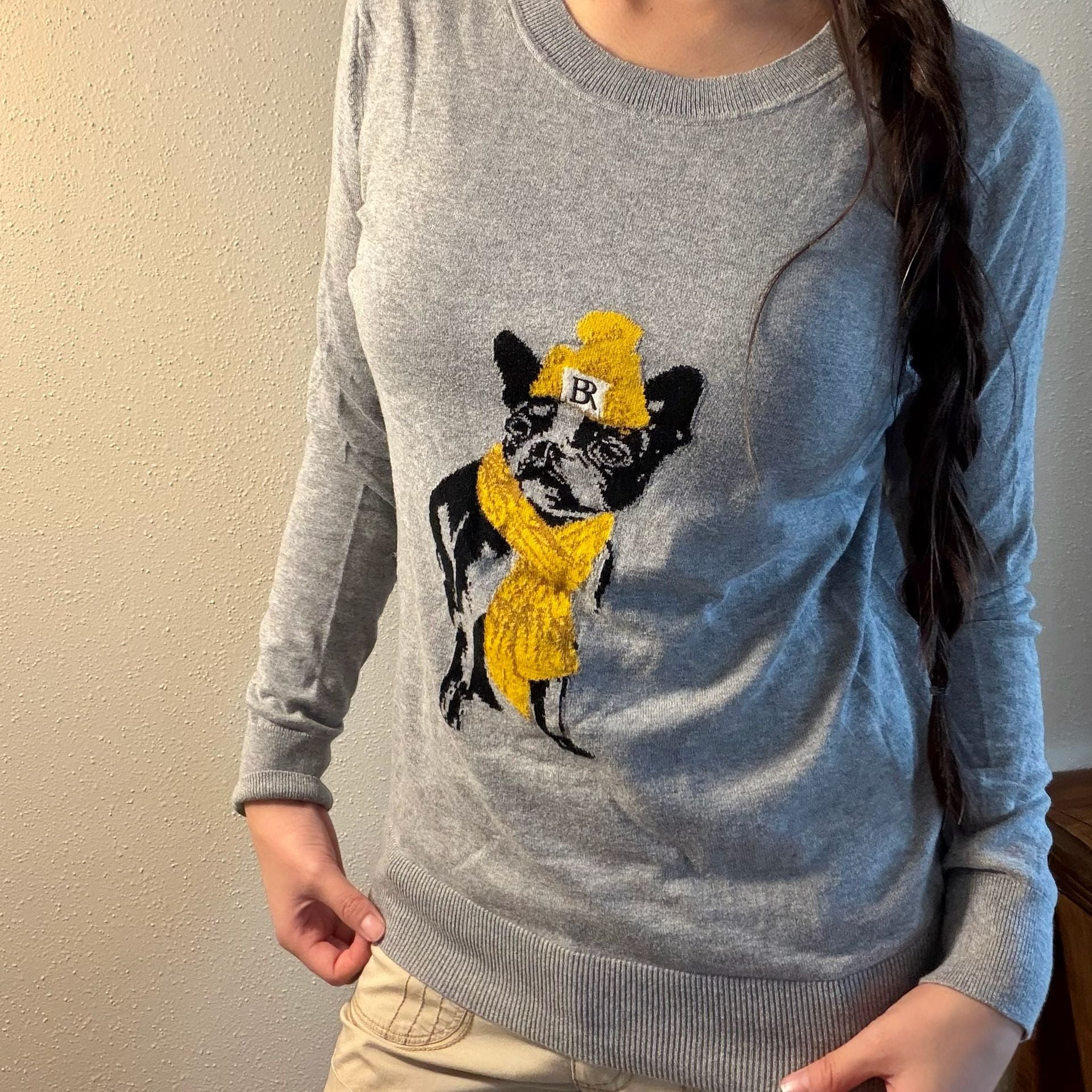 Banana Republic Bulldog Sweater Size XS Gray Frenchie Dog Graphic Pullover 3