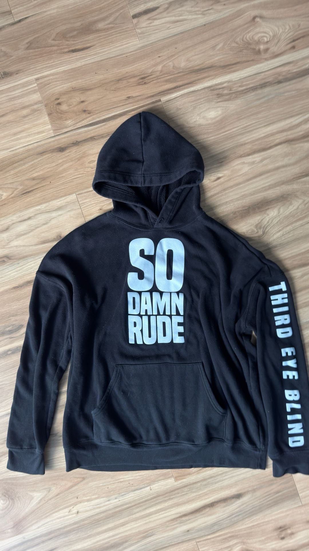 Third Eye Blind Size L Hoodie 2
