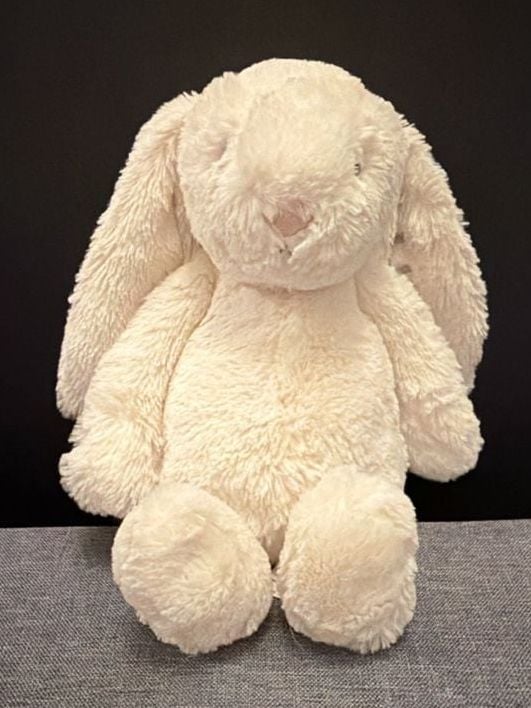 Jellycat Bashful Cream Bunny Plush Personalized Luna NWT 1