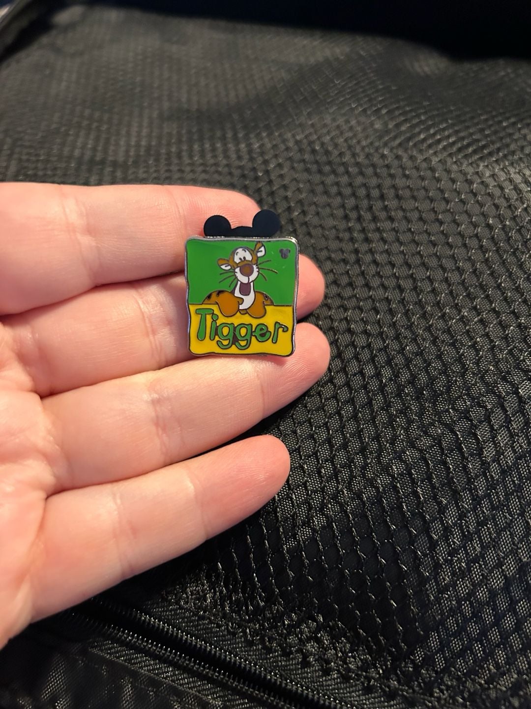 Disney Tigger Hidden Mickey Winnie The Pooh Trading Pin 3
