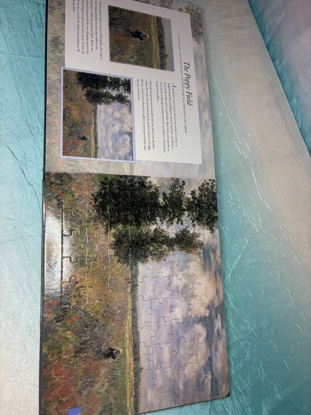 The Five Mile Press Claude Monet Jigsaw Book Hardcover Art Puzzle 9