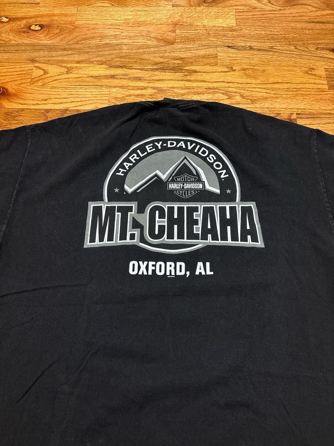 Harley-Davidson T-Shirt Mt. Cheaha Oxford AL Black Graphic Tee 3