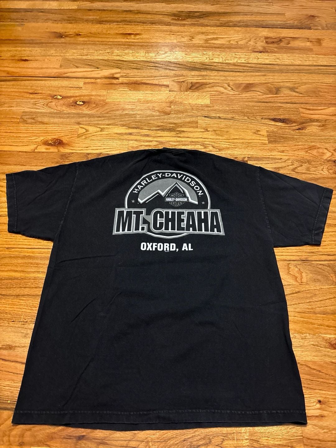 Harley-Davidson T-Shirt Mt. Cheaha Oxford AL Black Graphic Tee 5