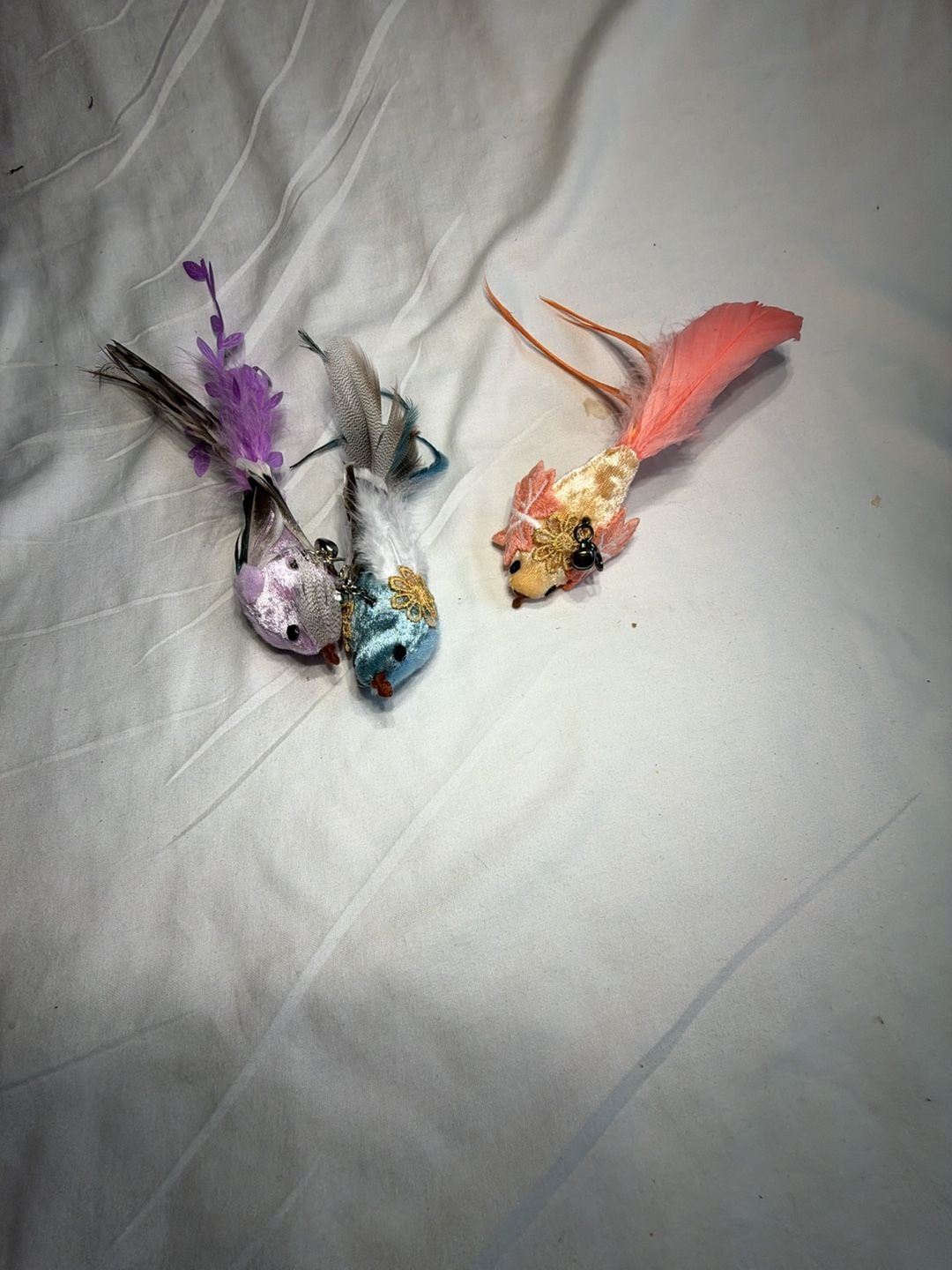 Luxury Bird on Clip Feather Ornament Set 1