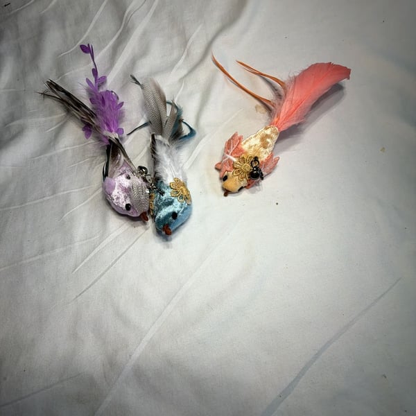 Luxury Bird on Clip Feather Ornament Set