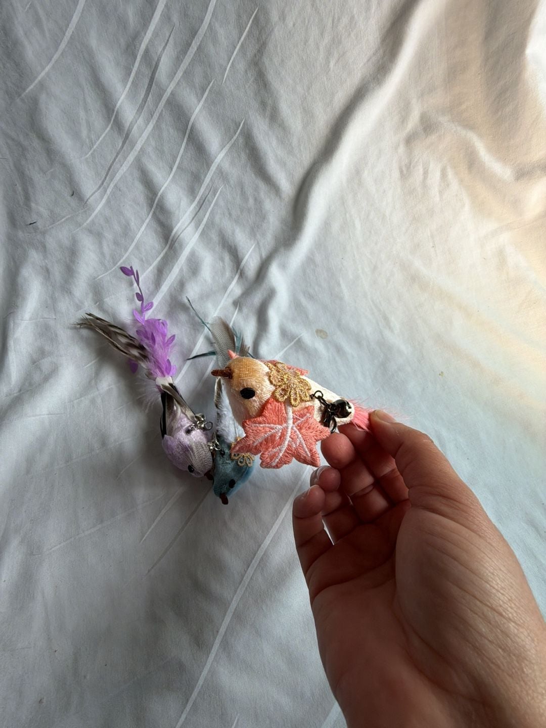 Luxury Bird on Clip Feather Ornament Set 2