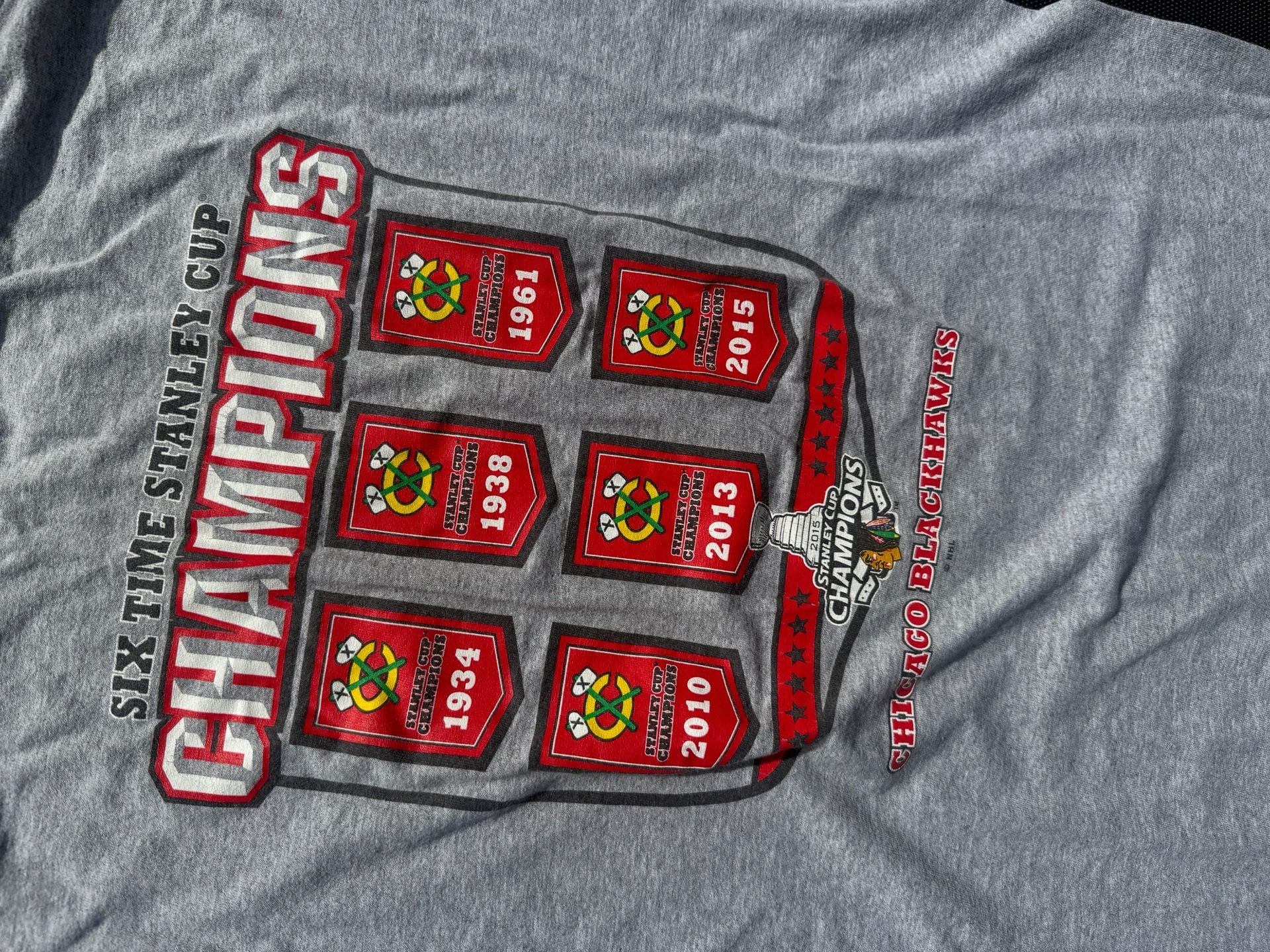 Gildan Chicago Blackhawks Stanley Cup Champions T-Shirt Size L Gray 6