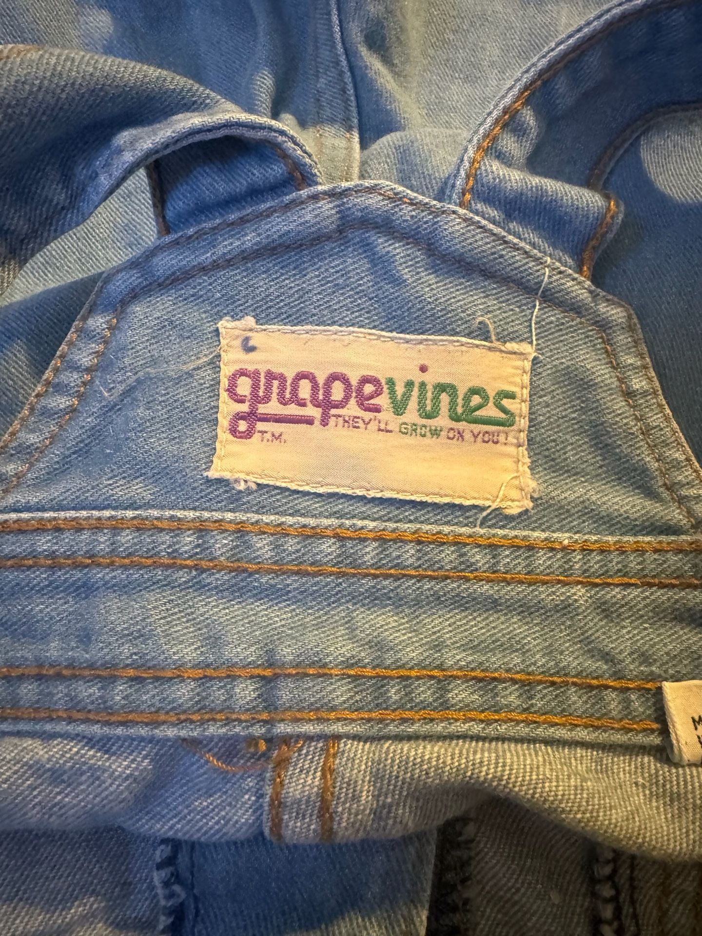 VTG ‘70s Grapevines 29x32 WOMENS DENIM BELL BOTTOMS BIB OVERALLS w/ BUTTON FRONT 10