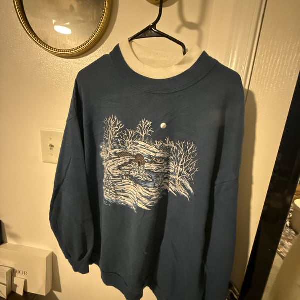 Pleasant Shade Vintage 90s Winter Scenic Sweatshirt Blue Mock Neck L
