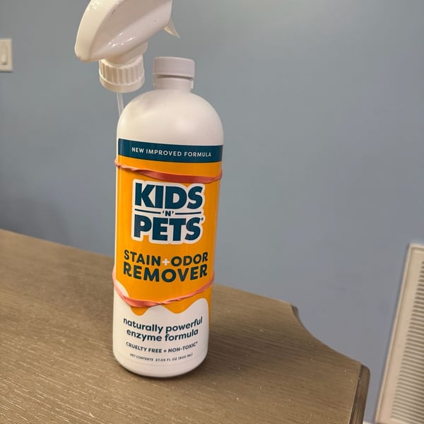 Kids 'N' Pets Stain And Odor Remover 27.05 Fl Oz