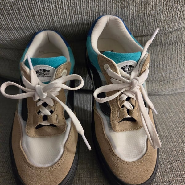 Vans Wayvee Skate Shoes Multi-Color Suede