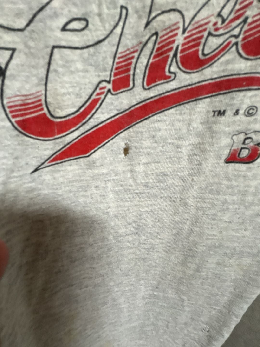 Lee Cheers Boston TV Show T-Shirt XXL Gray Vintage 4