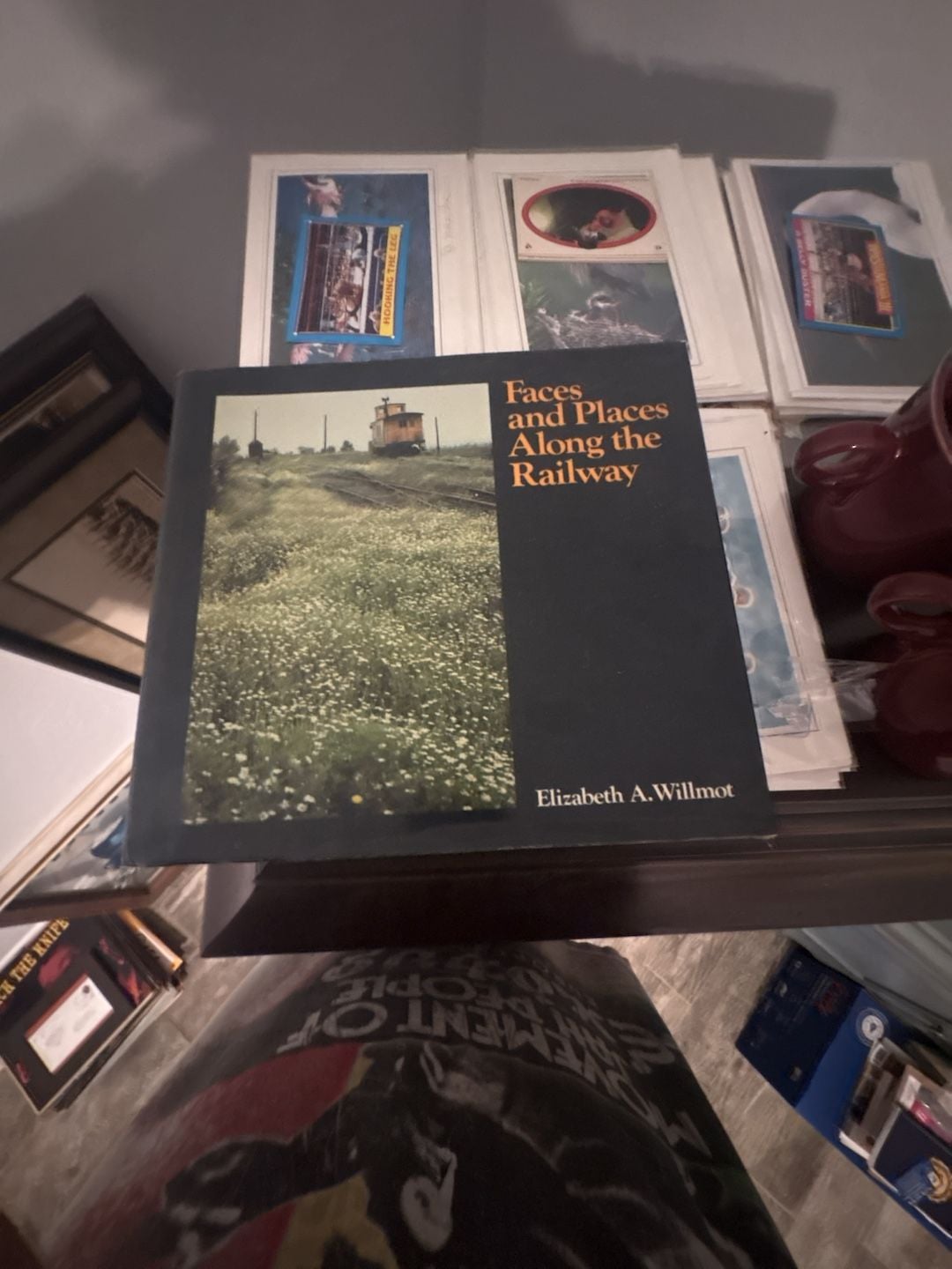 Faces and Places Along the Railway Book Elizabeth A. Willmot 1
