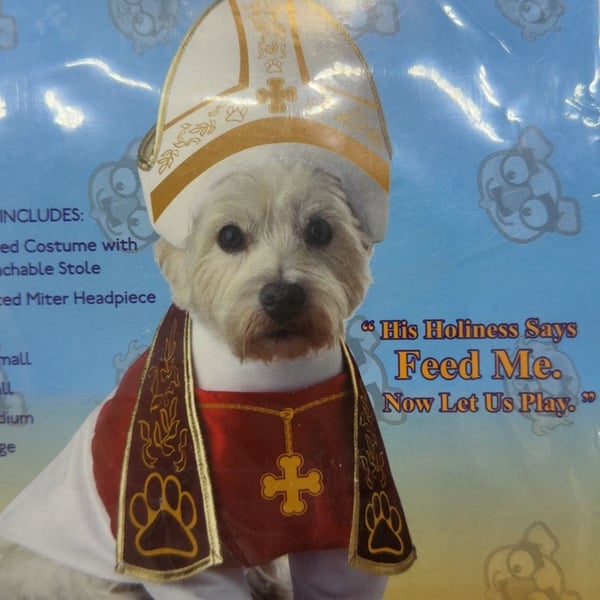 California Costumes Holy Hound Pet Costume Medium