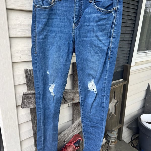 LuLaRoe Distressed Skinny Jeans Size 28 Blue Denim
