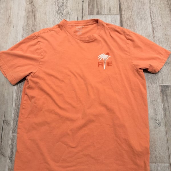 American Eagle Graphic T-Shirt Size M Orange Palm Tree Standard Fit