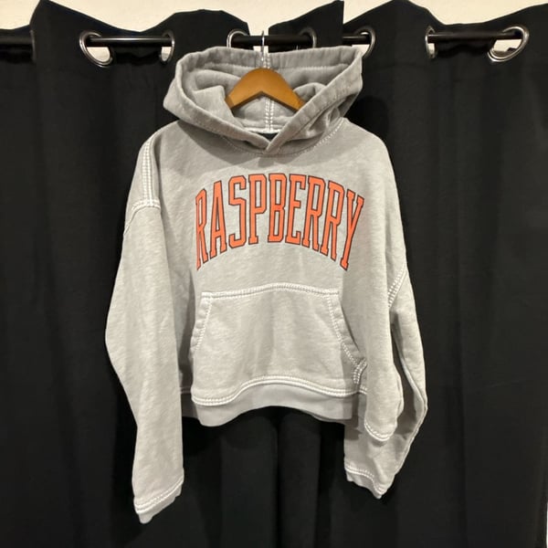 GV Gallery Raspberry SF Hoodie Grey