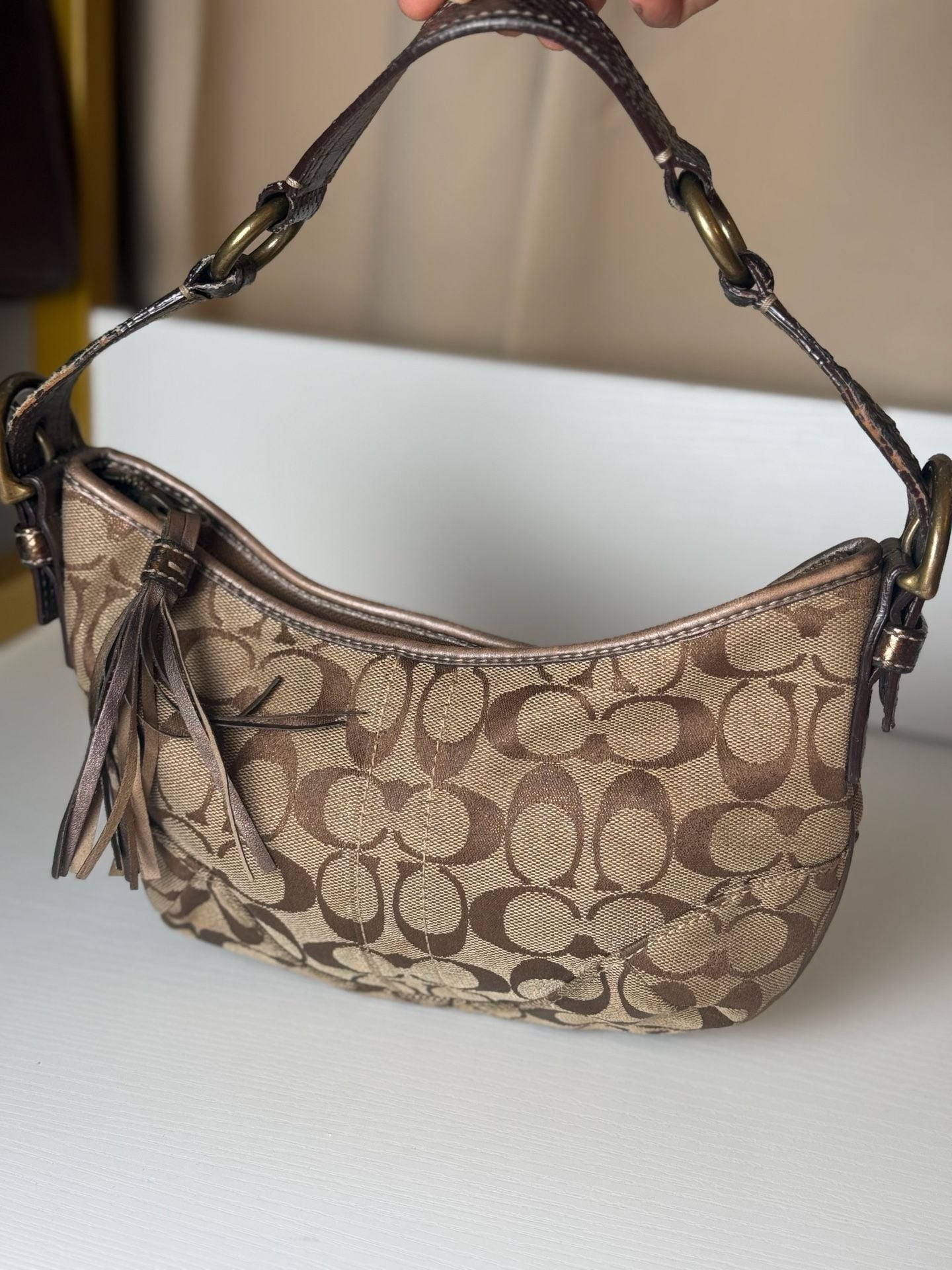 Coach Signature C Hobo Shoulder Bag Brown Canvas 9