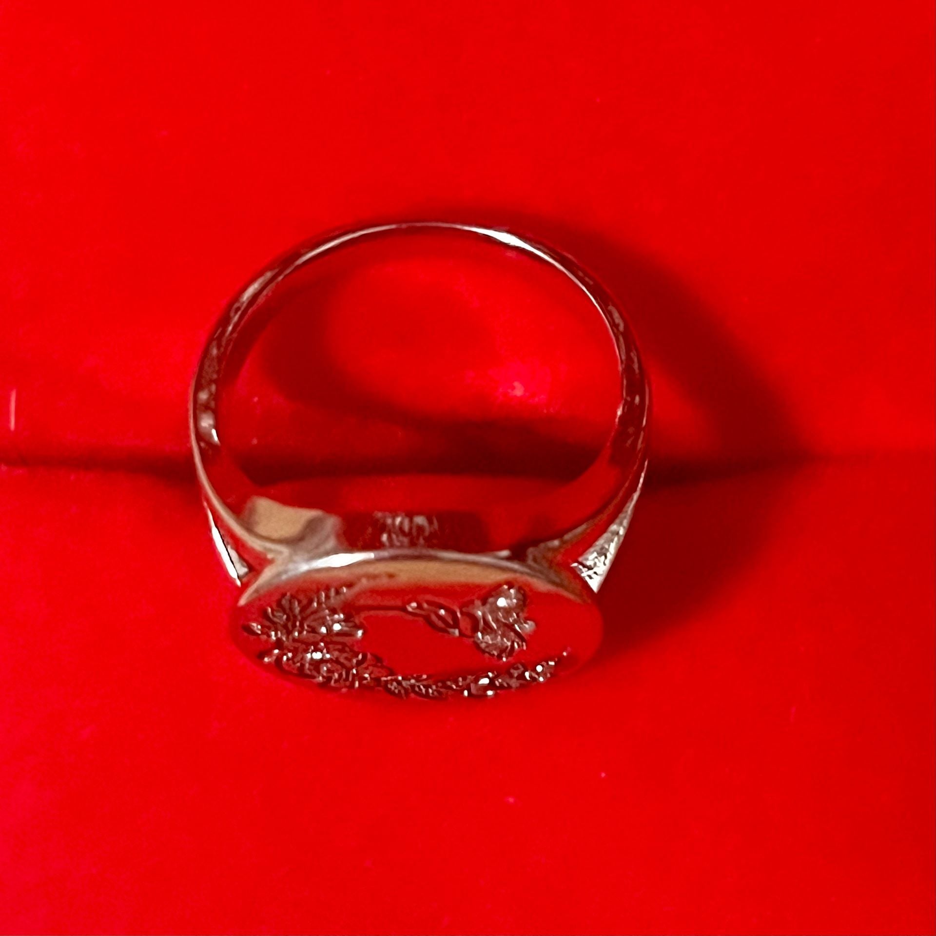 Hummingbird and Floral Engraved Titanium Steel Silver Signet Ring Size 6 2